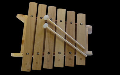 2011 MARIMBA D